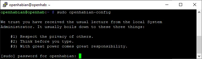 Start des openhabian-config Tools